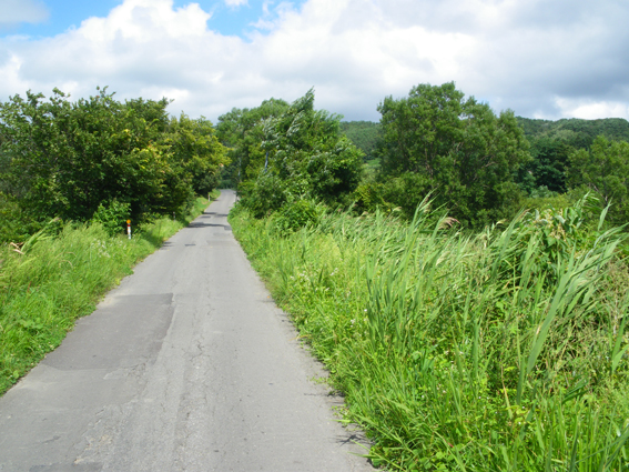f0161647_20123081.jpg