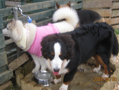 e0121548_10173611.jpg
