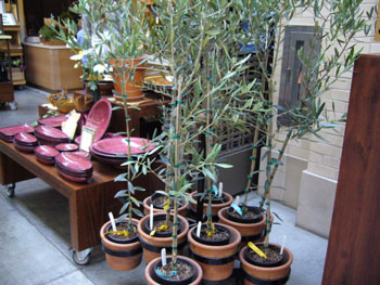 f0002252_1245896.jpg