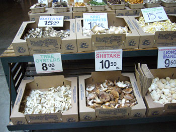 f0002252_1272893.jpg