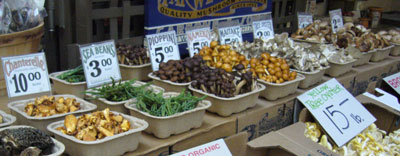 f0002252_1274228.jpg