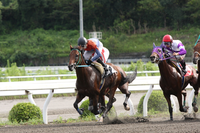 2009年8月10日（月） 高知競馬 2R D8 記者選抜 レース_a0077663_19122062.jpg
