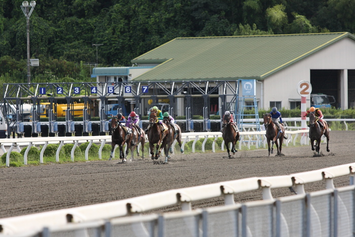 2009年8月10日（月） 高知競馬 2R D8 記者選抜 レース_a0077663_19123916.jpg