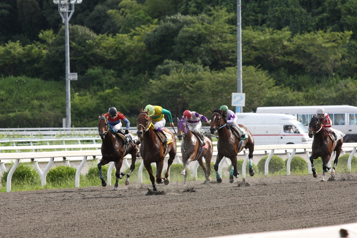 2009年8月10日（月） 高知競馬 2R D8 記者選抜 レース_a0077663_19124778.jpg