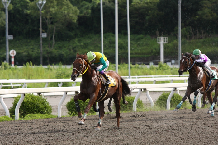 2009年8月10日（月） 高知競馬 2R D8 記者選抜 レース_a0077663_19125627.jpg