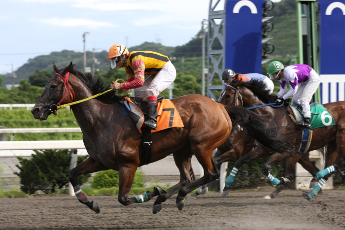 2009年8月10日(月) 高知競馬 2R D8 記者選抜 レース_a0077663_19131456.jpg