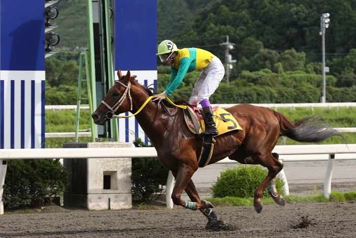 2009年8月10日(月) 高知競馬 2R D8 記者選抜 レース_a0077663_1913475.jpg