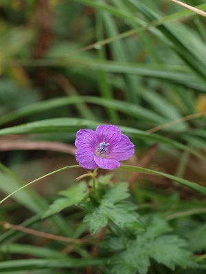 d0025568_2010315.jpg