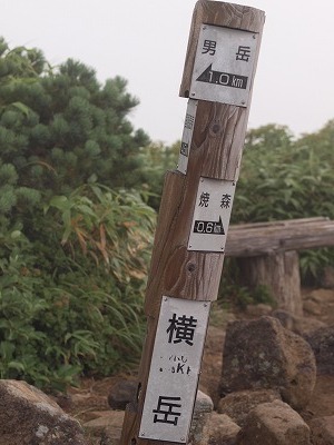 d0025568_20121559.jpg