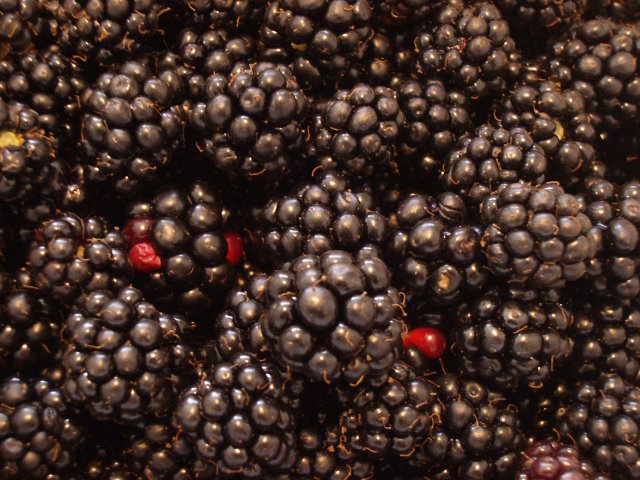 b0183670_2563768.jpg