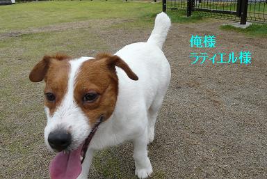 カビ生えていませんか_c0120375_1012188.jpg