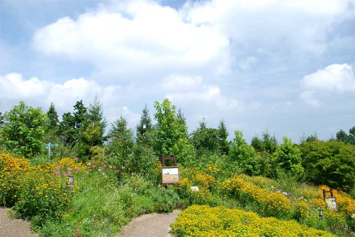 f0108478_14487.jpg