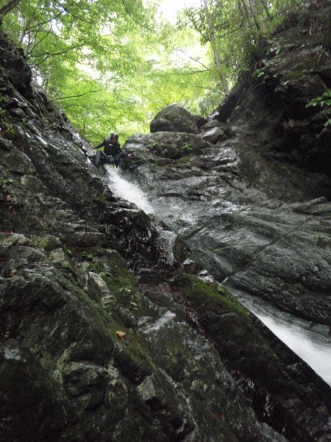 d0079579_6524830.jpg