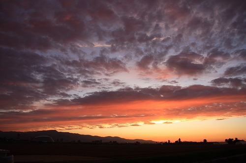 b0003280_239587.jpg