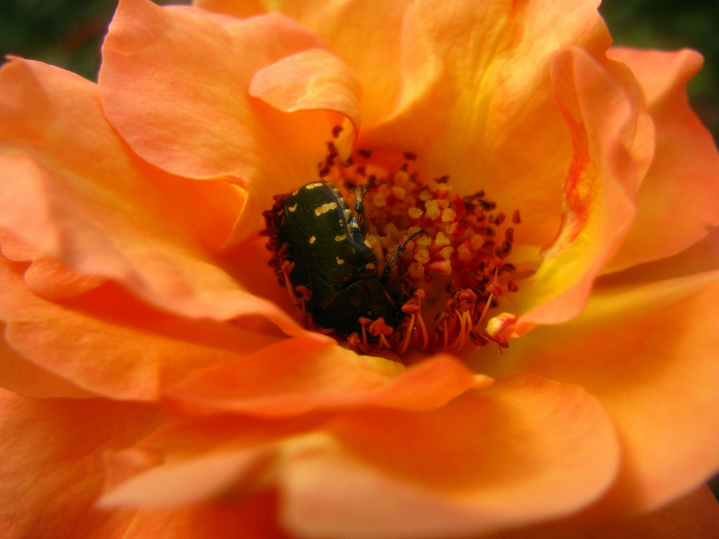 e0024081_16281360.jpg