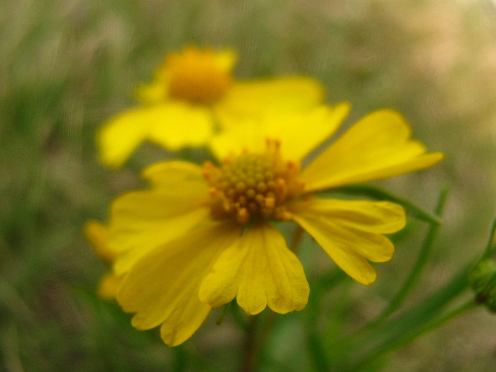 e0024081_16283870.jpg