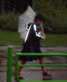 c0096685_20332854.jpg