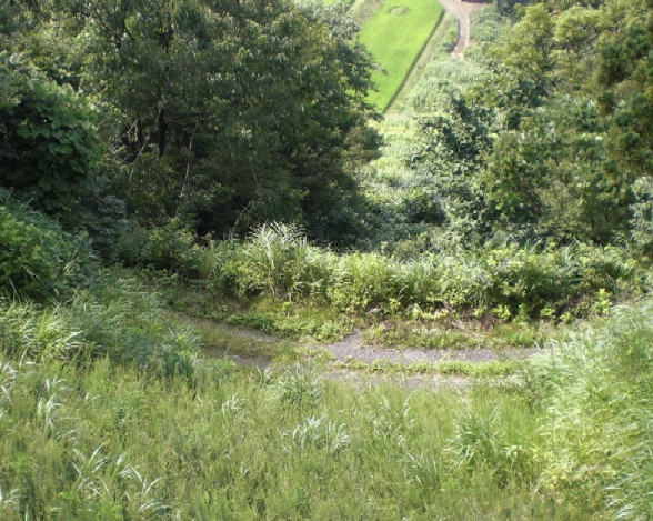 c0013687_22564774.jpg