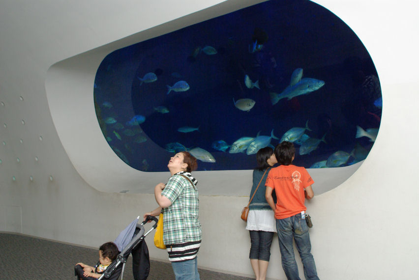 c0152288_657051.jpg