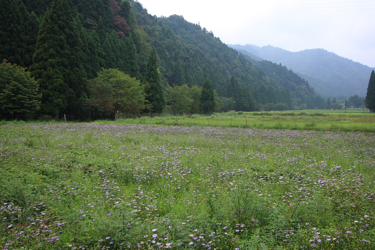 久多の里_e0051888_6325215.jpg