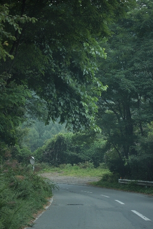 d0133693_17101492.jpg