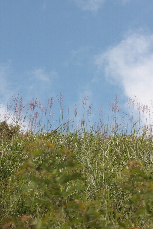 d0133693_17102776.jpg