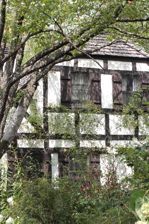 d0133693_17115288.jpg