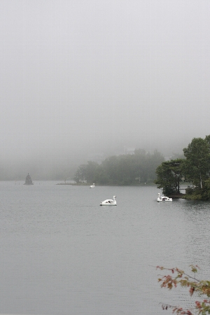 d0133693_17372456.jpg