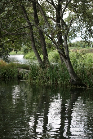 d0133693_8443590.jpg