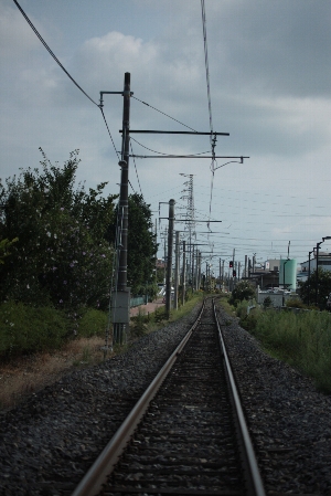 d0133693_8452578.jpg