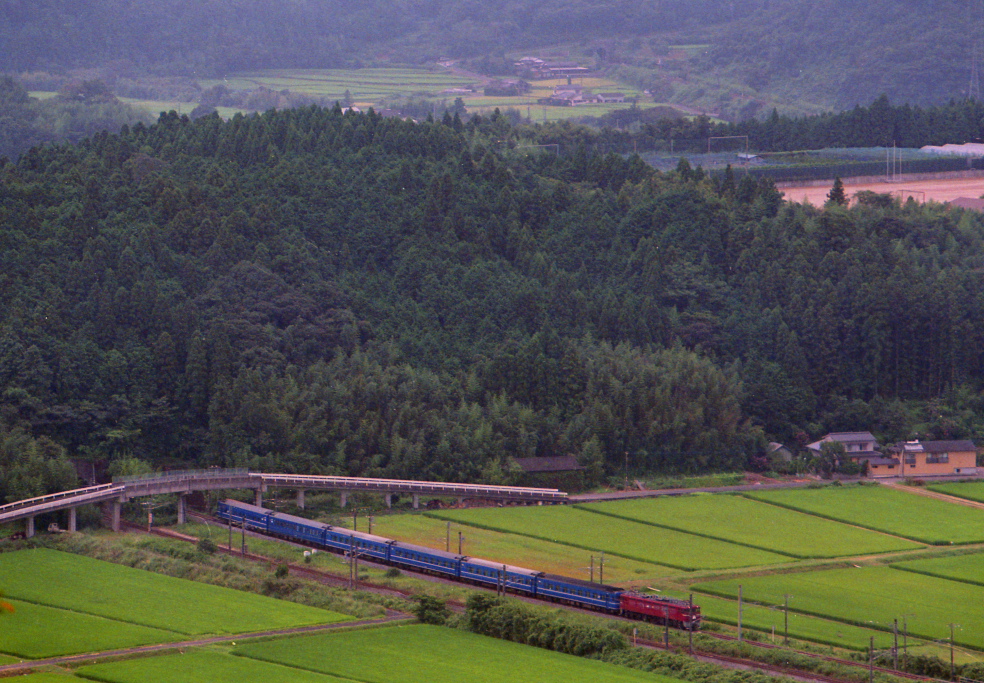 d0136496_22423515.jpg