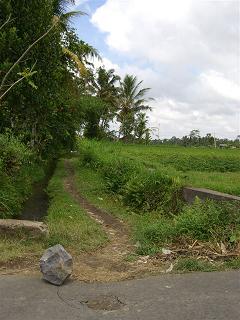 バリ島2009 - 田んぼの中の一軒家_a0057402_23402116.jpg