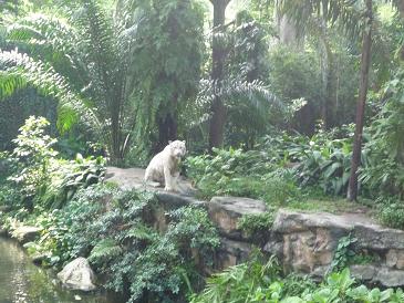 c0086709_22265791.jpg