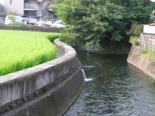 c0097309_21461959.jpg
