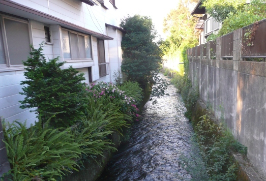 c0097309_21472296.jpg