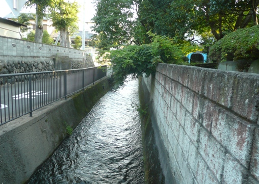 c0097309_21481793.jpg