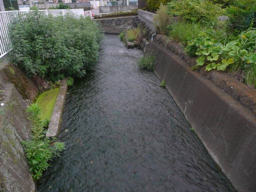 c0097309_21542259.jpg