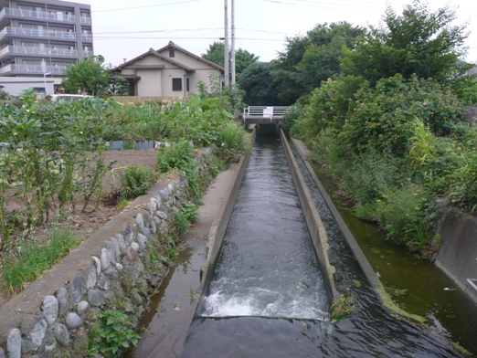 c0097309_21545513.jpg