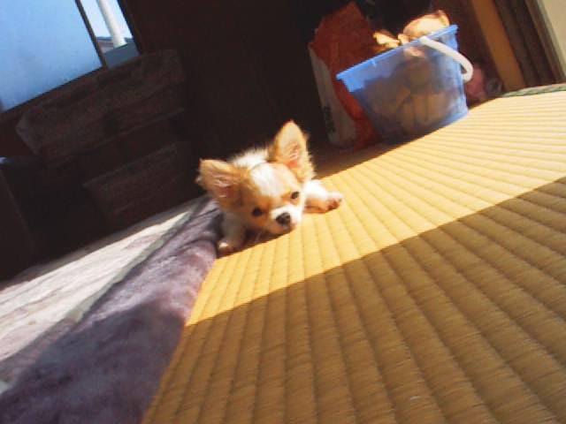 c0200810_23545163.jpg