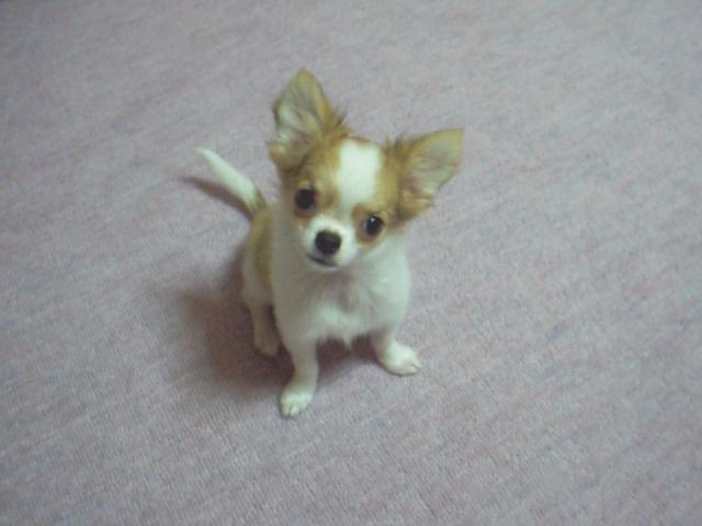 c0200810_23554115.jpg