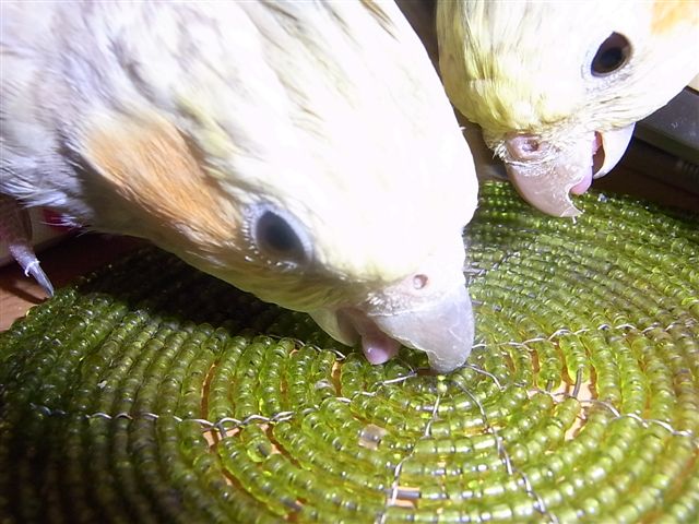 c0133013_2092863.jpg