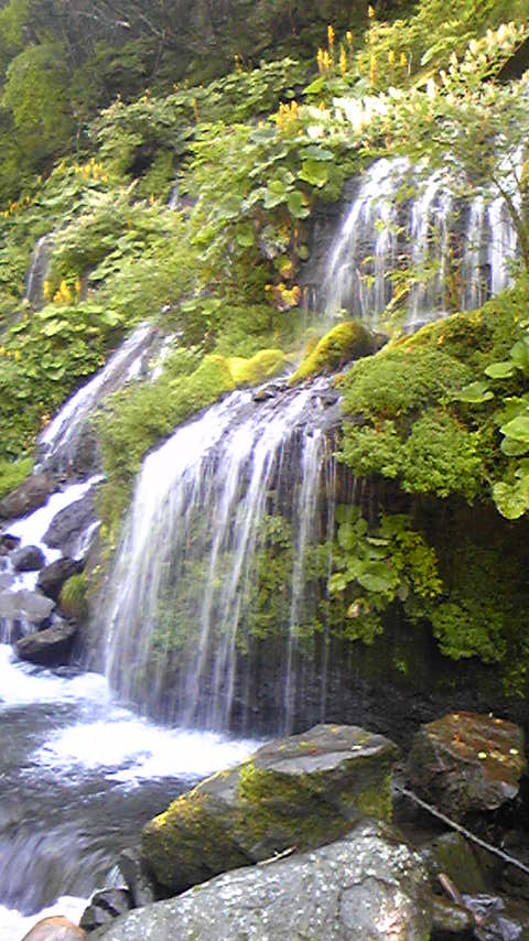 d0004717_503478.jpg