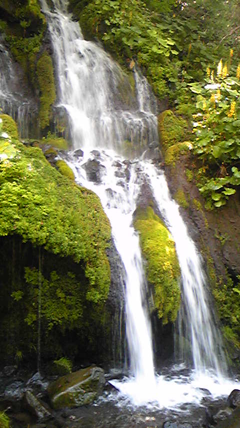 d0004717_505948.jpg