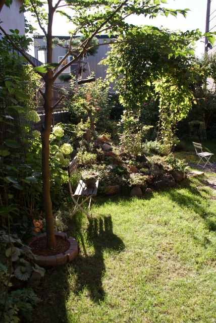 f0170524_1695945.jpg