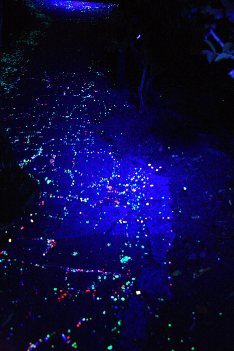 e0025930_16514055.jpg