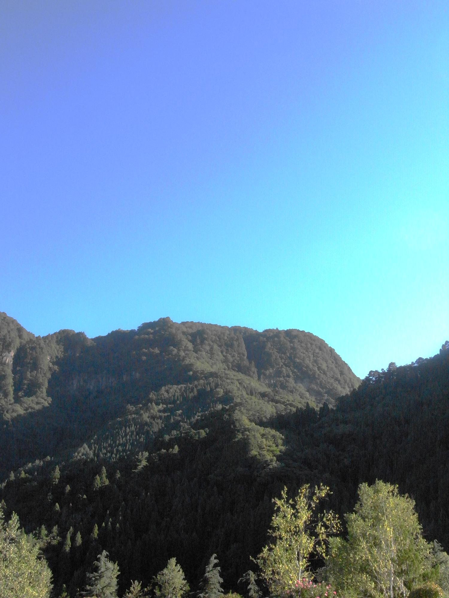 e0147641_133749.jpg