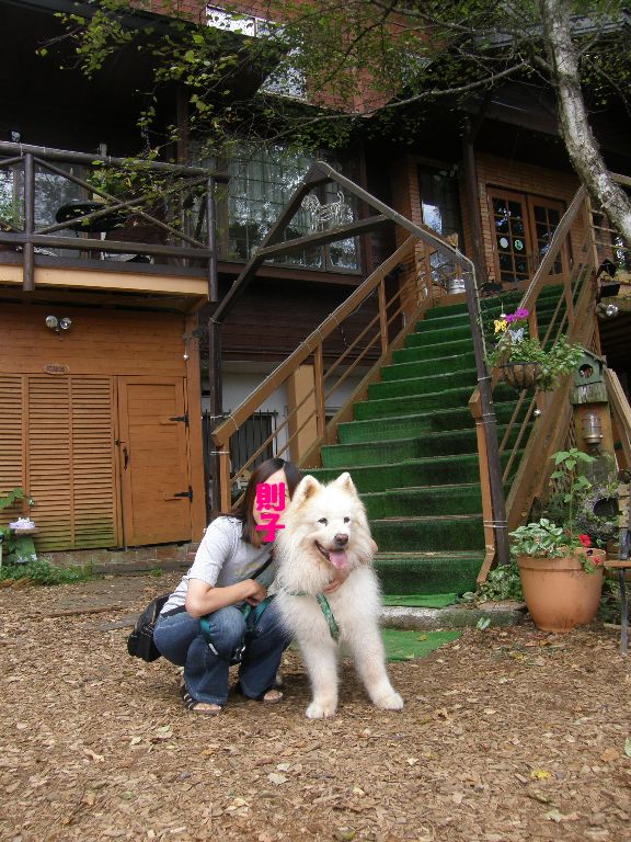 サモまみれ旅行 その1_f0128542_2332210.jpg