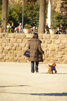 サムディのヨーロッパ旅行-14_c0200246_20172846.jpg