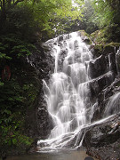 f0147759_15215371.jpg