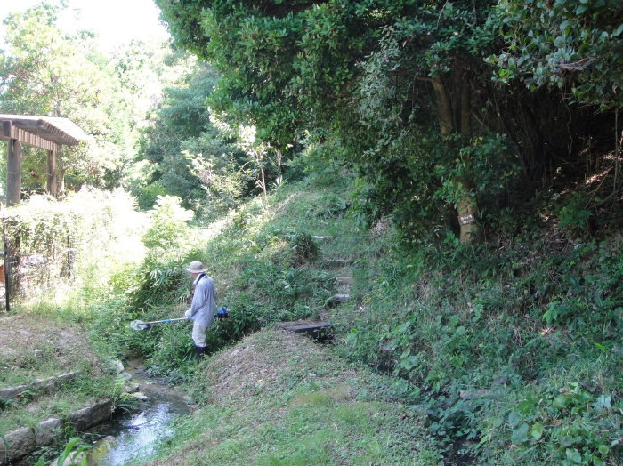 c0108460_1811060.jpg